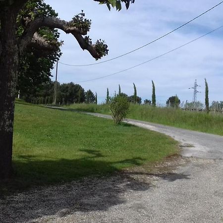 Gite Lieu Dit Gautier Civrac-de-Blaye Екстериор снимка