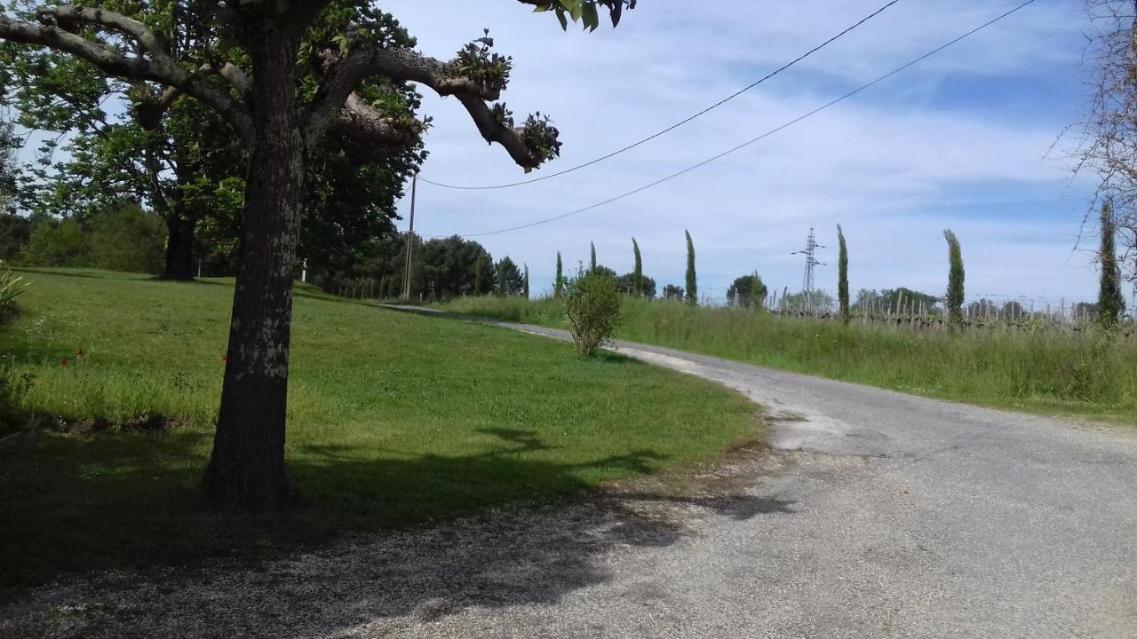 Gite Lieu Dit Gautier Civrac-de-Blaye Екстериор снимка